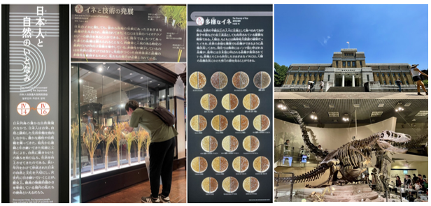 国立科学博物館へ行こう